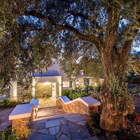 Villa Idealia Panormos  Eksteriør billede